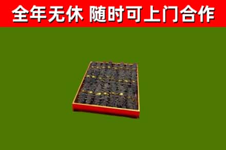临泉县烟酒回收海参.jpg
